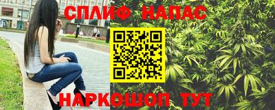 МДПВ Рыбинск