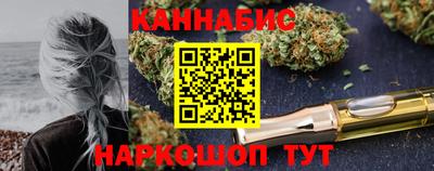 МДПВ Рыбинск