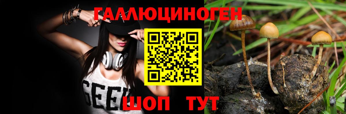 Рубцовск  Псилоцибиновые грибы Cubensis  Вход с VPN 